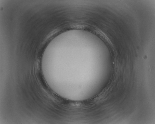X0000082990071200702011154