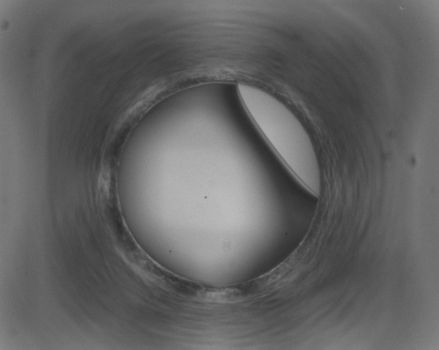 X0000082990072200702011154