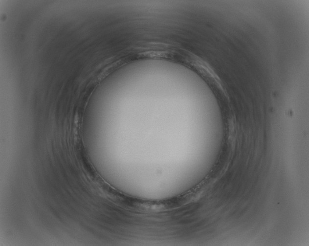 X0000082990073200702011154