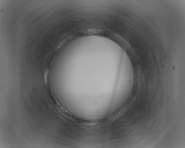 X0000082990075200702011154