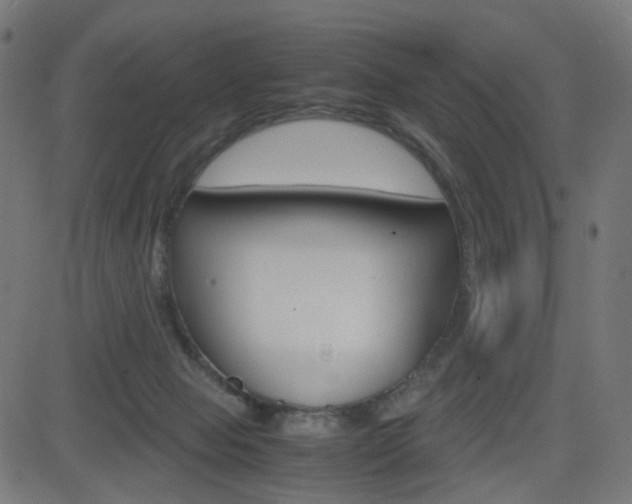 X0000082990077200702011155