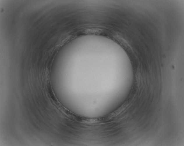 X0000082990079200702011155