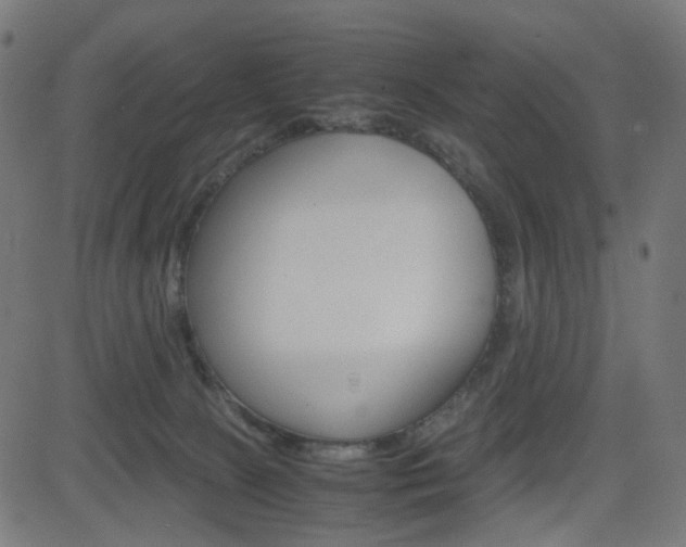 X0000082990081200702011155
