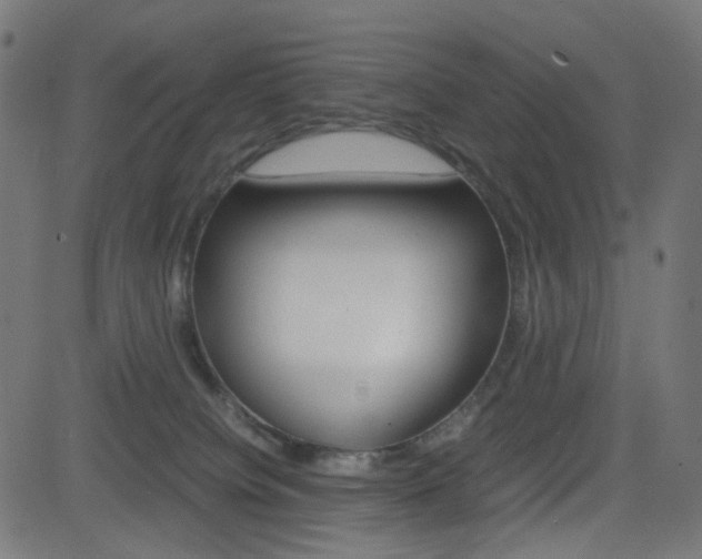 X0000082990084200702011155