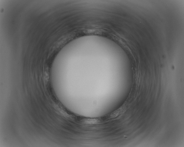 X0000082990085200702011155