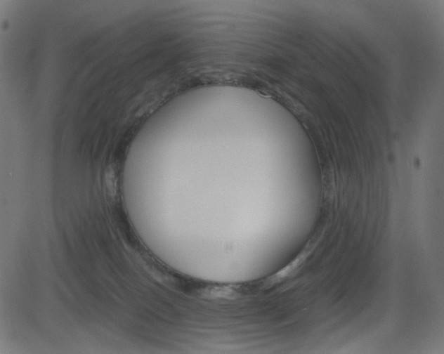 X0000082990086200702011155