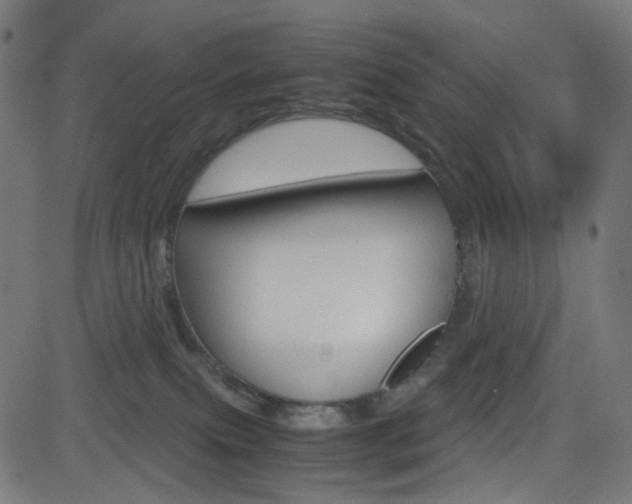 X0000082990087200702011155