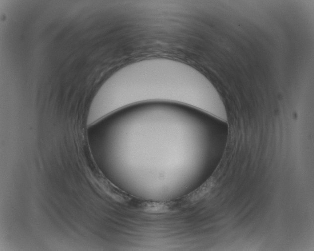 X0000082990088200702011155