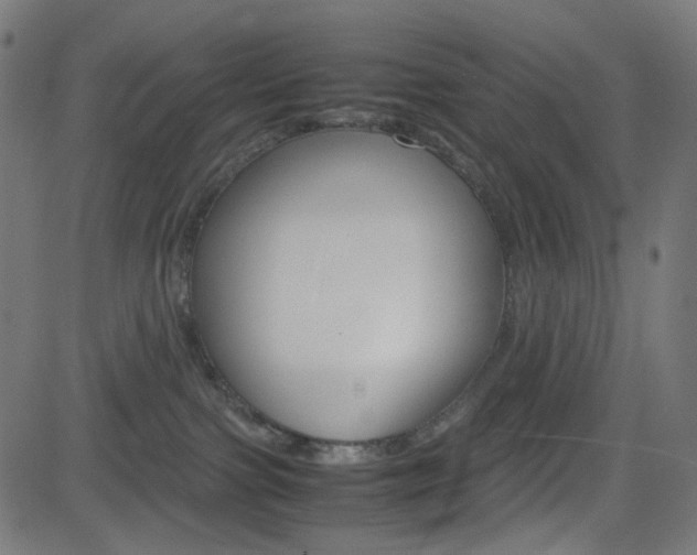 X0000082990091200702011155