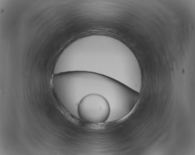 X0000082990094200702011155