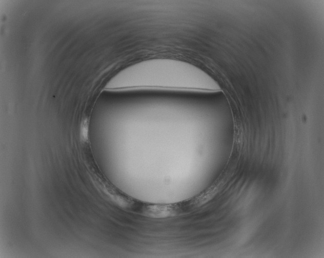 X0000082990095200702011155