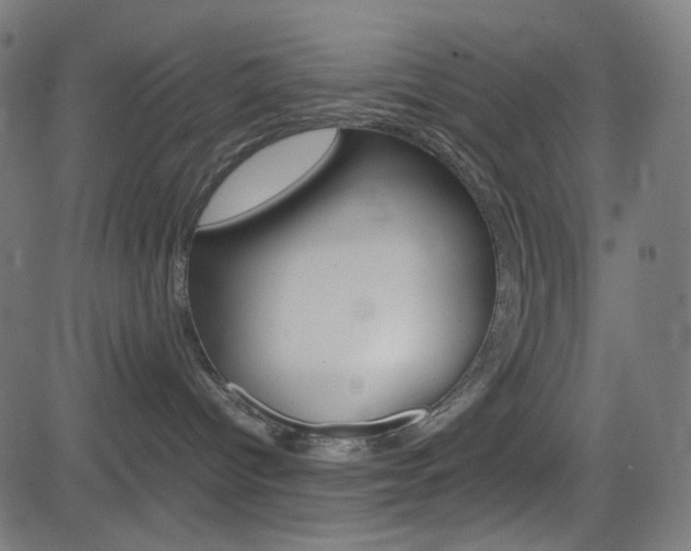X0000082990096200702011155
