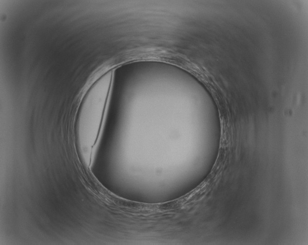 X0000082990099200702011154