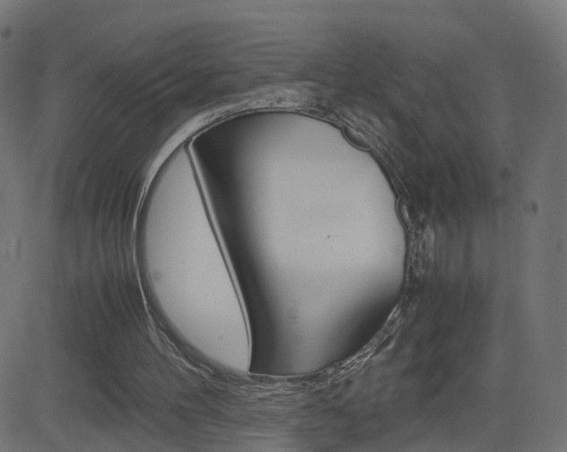 X0000082990100200702011154