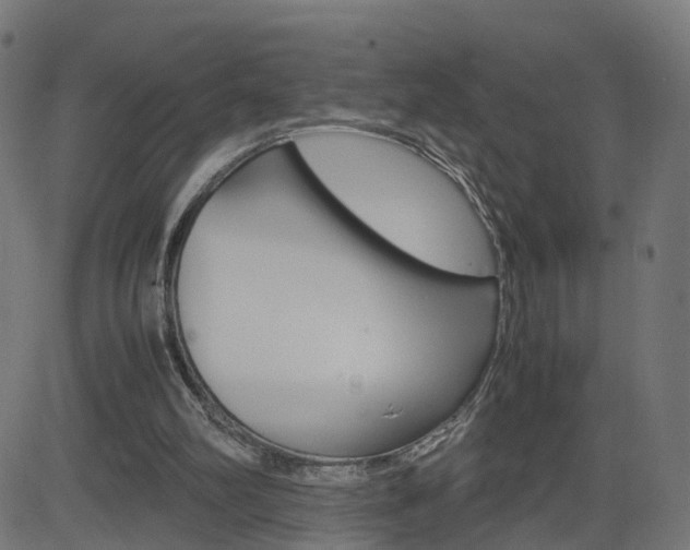 X0000082990102200702011154