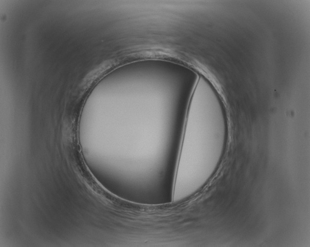 X0000082990105200702011154
