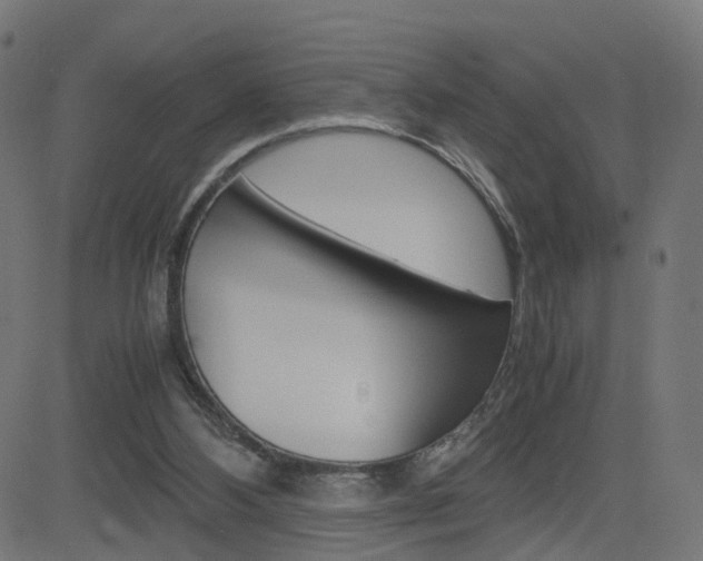 X0000082990108200702011154