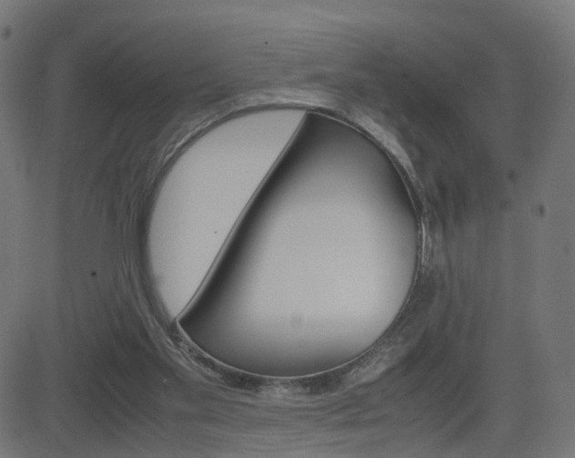 X0000082990109200702011154