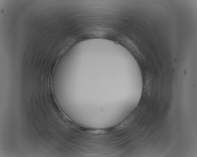 X0000082990122200702011154