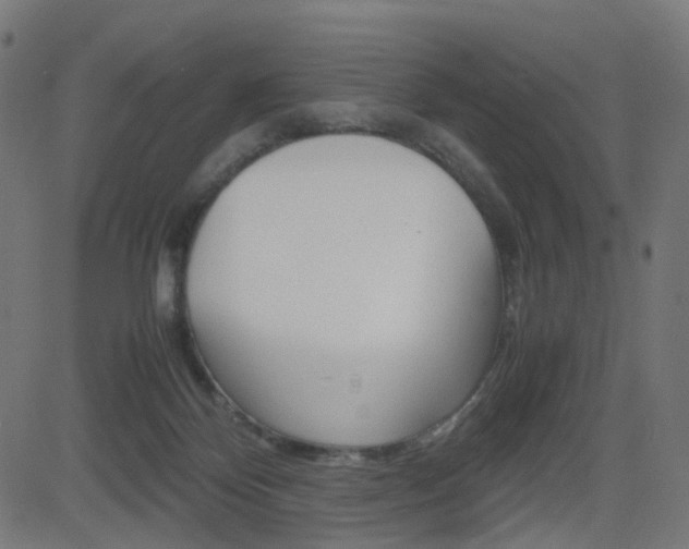 X0000082990124200702011154