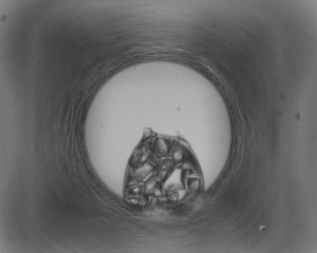 X0000082990125200702011154