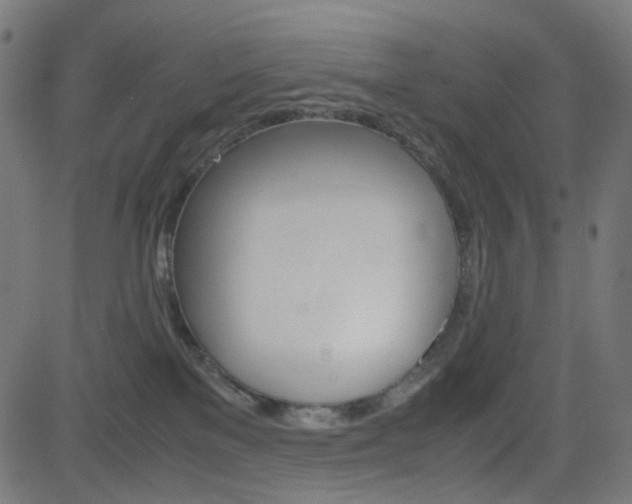 X0000082990137200702011153