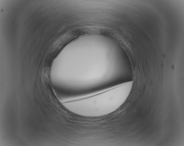 X0000082990141200702011153