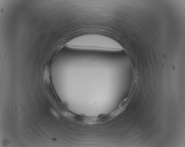 X0000082990143200702011153