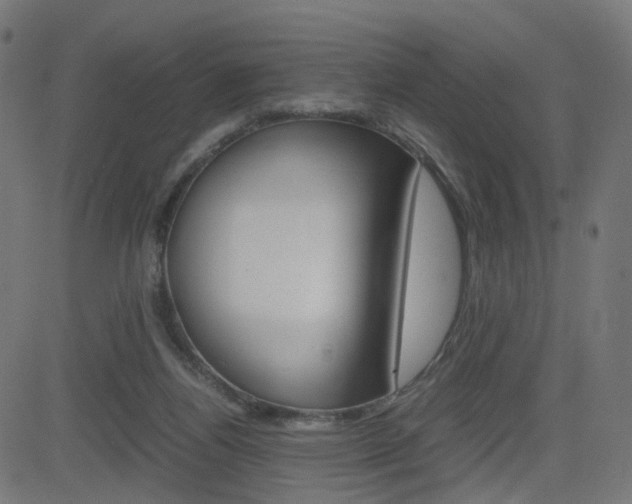 X0000082990164200702011153