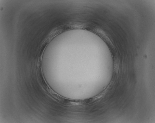 X0000082990167200702011153