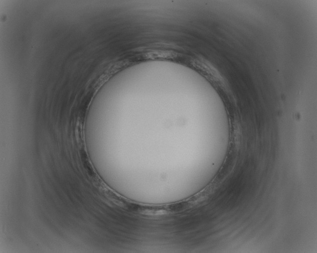 X0000082990169200702011153
