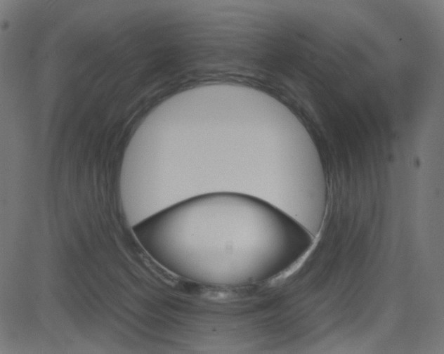 X0000082990174200702011153