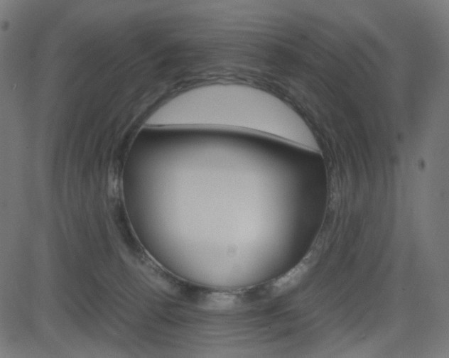 X0000082990176200702011153