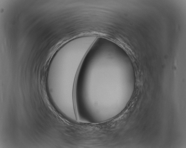 X0000082990193200702011152
