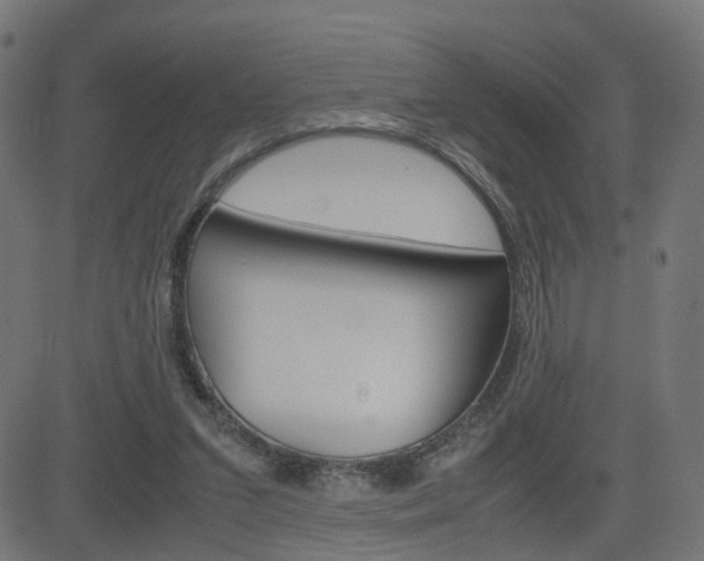 X0000082990207200702011152
