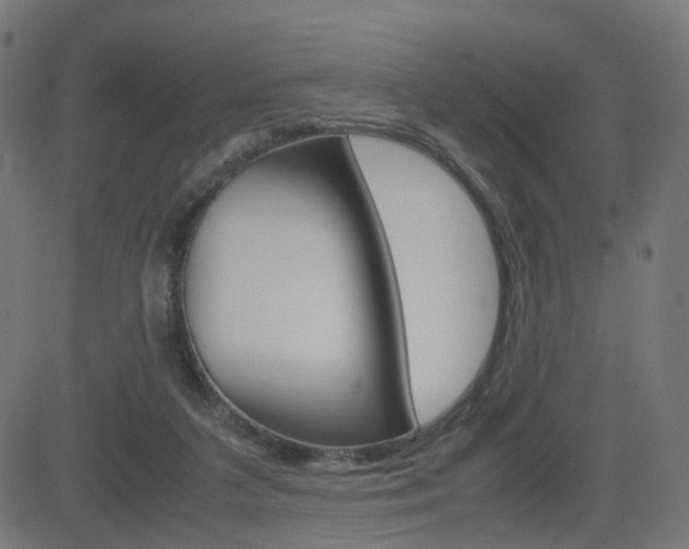 X0000082990211200702011152