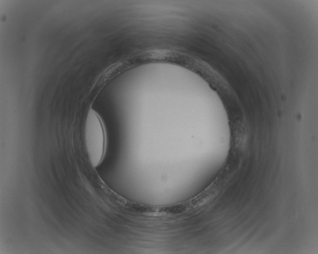 X0000082990216200702011152