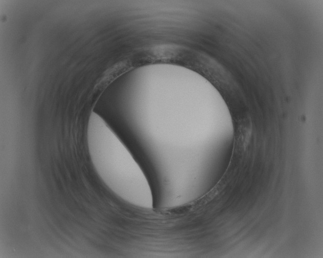 X0000082990220200702011152