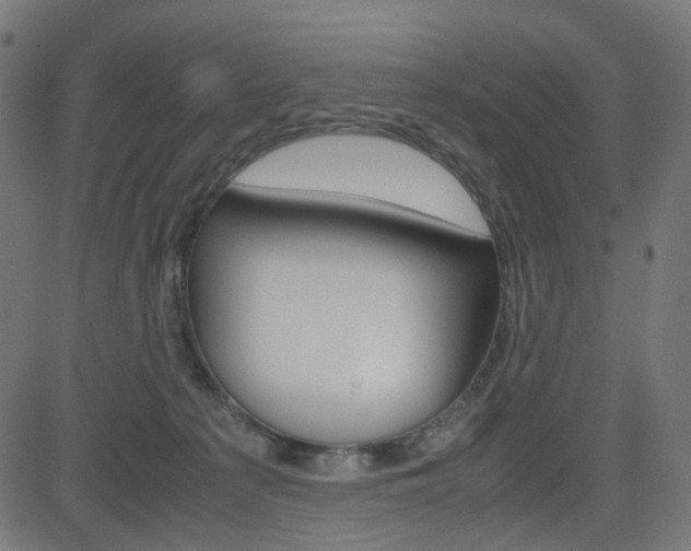 X0000082990225200702011152