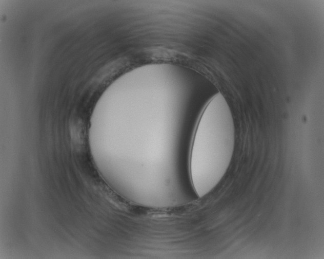 X0000082990228200702011152