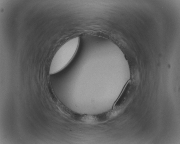 X0000082990231200702011152