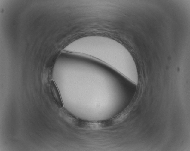 X0000082990233200702011152