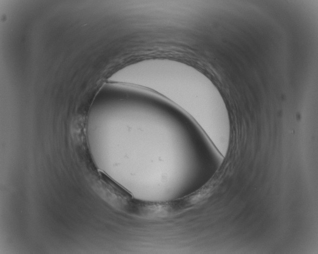 X0000082990237200702011152
