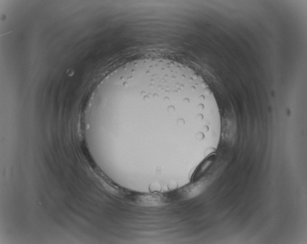X0000082990238200702011152