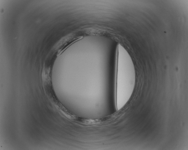 X0000082990239200702011152