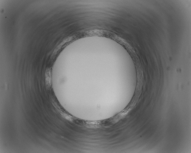 X0000082990240200702011152
