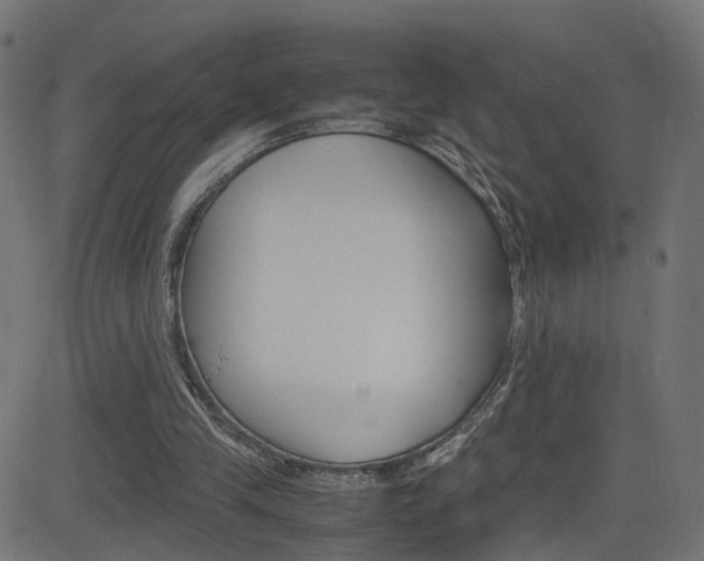 X0000082990245200702011151