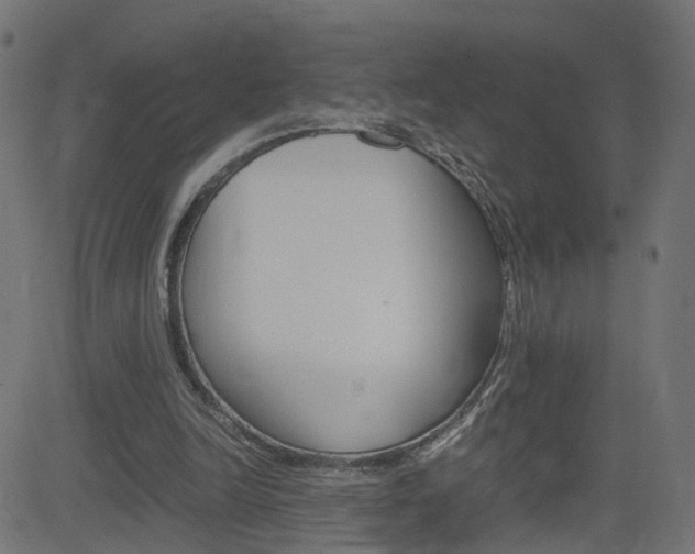 X0000082990246200702011151