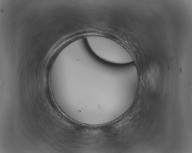 X0000082990247200702011151