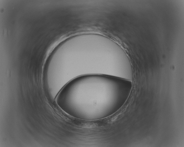 X0000082990248200702011151